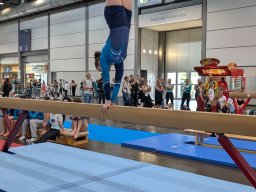 Deutsches Turnfest