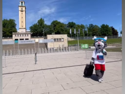 Deutsches Turnfest
